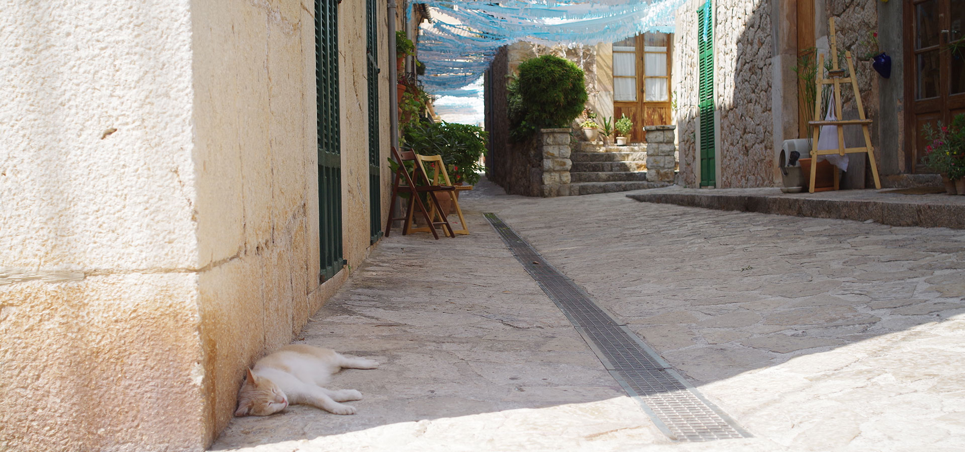 Katze Siesta Valldemossa Altstadt